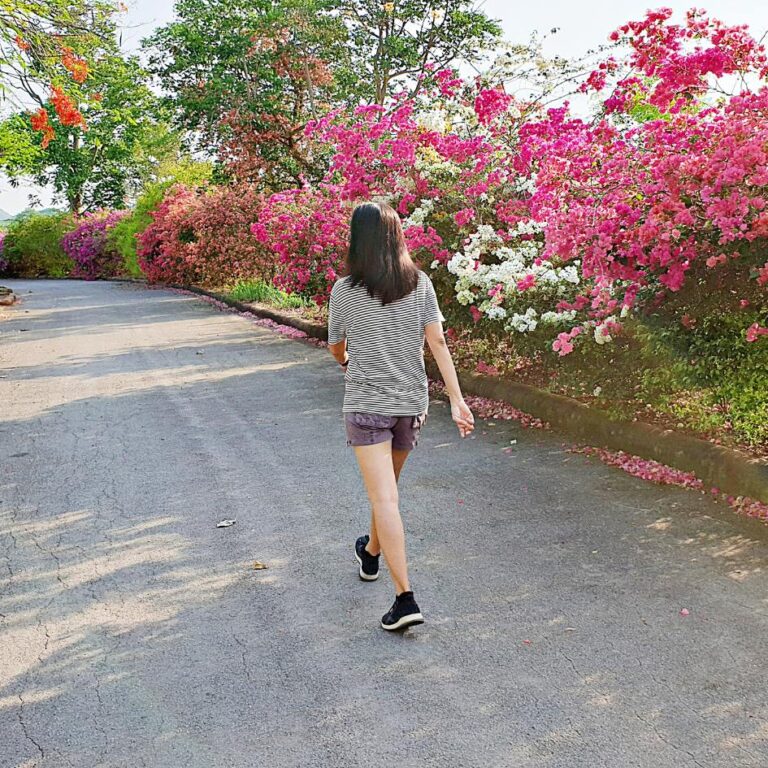 Walk + Workout Combo